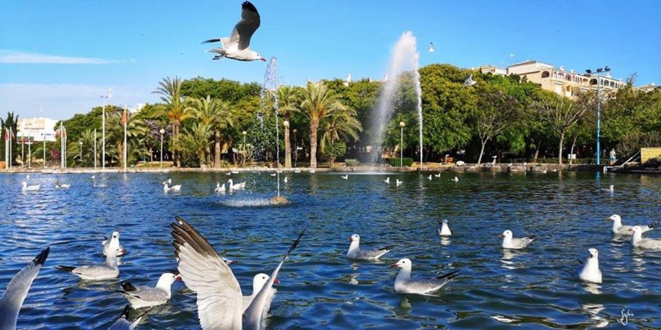 דירות Torrevieja Experience Atico 1ª Linea מראה חיצוני תמונה